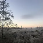 Altes Forsthaus Koenigskrug