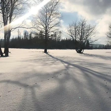 Altes Forsthaus Koenigskrug Apartmán
