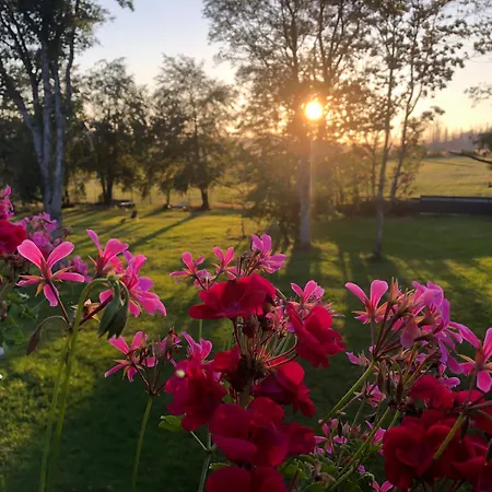 Altes Forsthaus Koenigskrug * Braunlage
