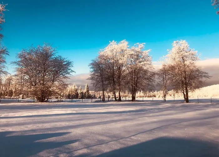 Altes Forsthaus Koenigskrug Braunlage