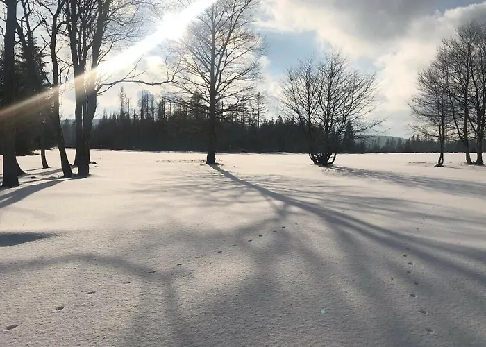 Altes Forsthaus Königskrug Apartment
